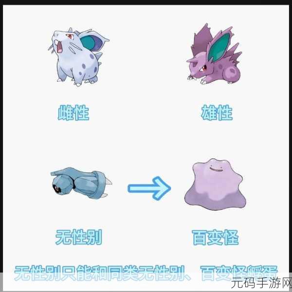 口袋妖怪之蛋的奥秘,深度解析与孵化指南,手游资讯速递