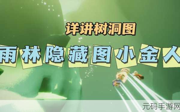 光遇雨林小金人全攻略,21个位置详细解析与收集技巧