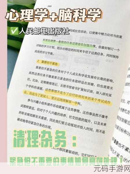 提升 Neo4j 事务处理效率的秘籍大公开