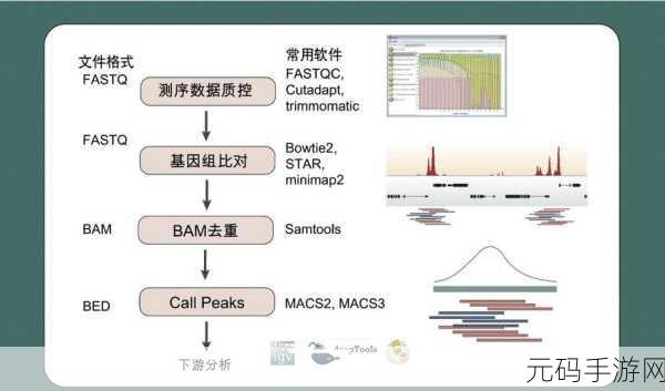 深入探究,HBase Count 命令的独特之处