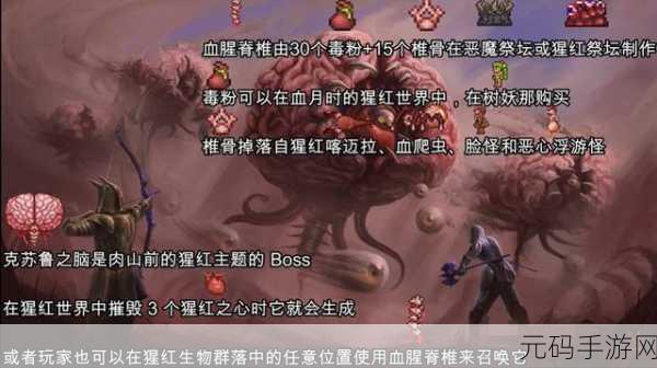 泰拉瑞亚小蘑菇人宠物,获取途径与召唤方法全面解析