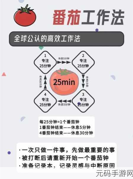 掌握 Neovim Rust 高效秘籍,提升开发效率不再难