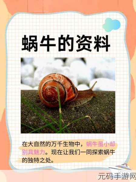 揭秘最强蜗牛，意志结晶在成长之路上的非凡作用与影响