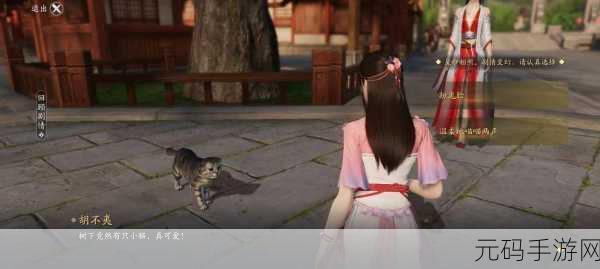 天涯明月刀手游猫友位置及奇遇任务全攻略