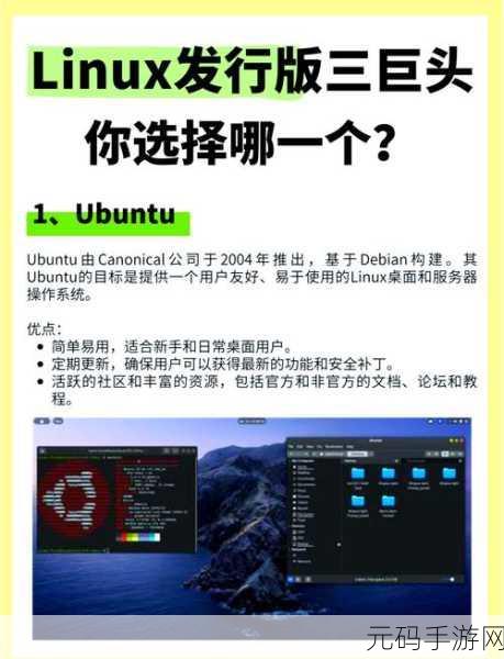 Linux 服务器的精选秘籍,不再迷茫的选择之道