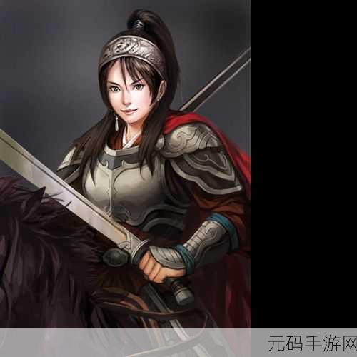 三国志8重制版全面攻略，昭华姬娶妻条件及婚后效果详解