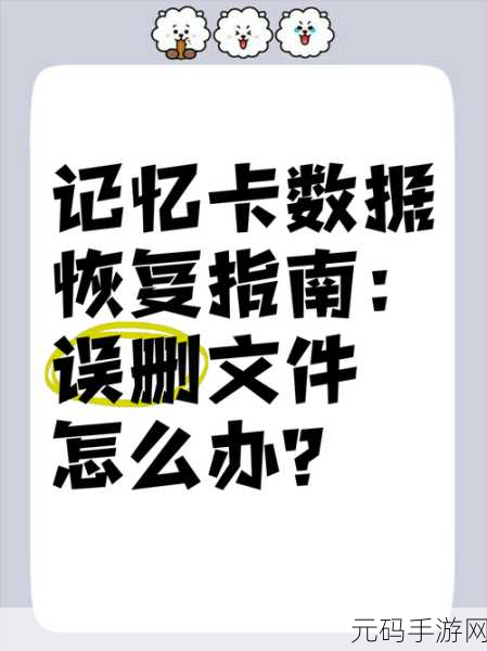 索尼存储卡文件误删?恢复秘籍在此!