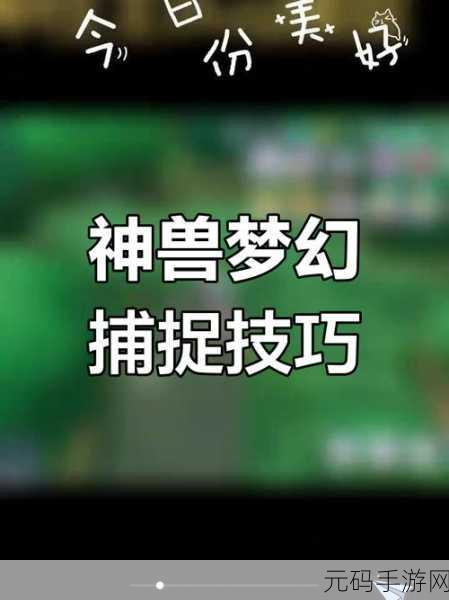 手游资讯,口袋妖怪M神兽——捕捉梦幻的奇迹之旅新版本盛大开启