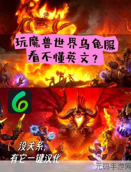 魔兽世界怀旧服海龟汤舒心草位置全解析