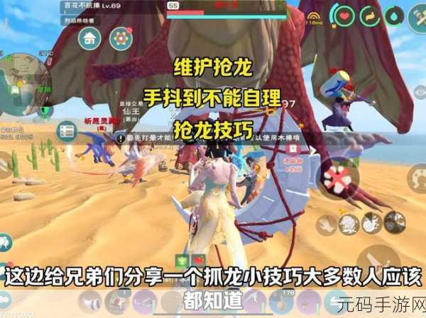 创造与魔法青龙丹炼制全攻略
