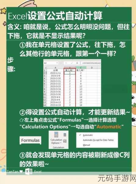 Excel 页码设置秘籍,从 5 开始的神奇操作