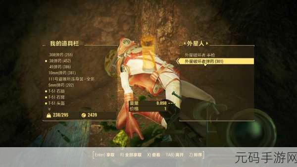 辐射4手游探索,等待键的暂停奥秘深度揭秘