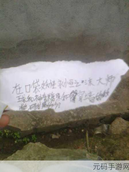 手游资讯,揭秘口袋妖怪世界中的财富密码——卖钱道具全解析