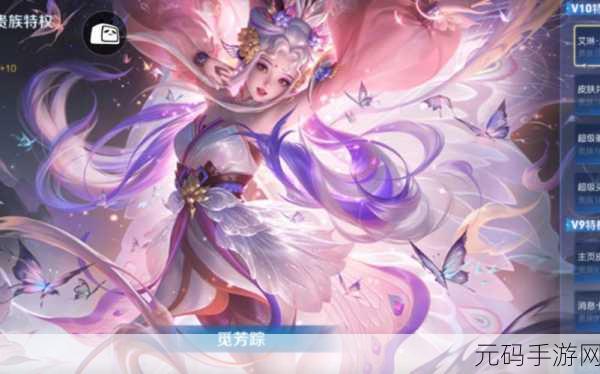 王者荣耀皮肤大师,解锁你的荣耀新篇章
