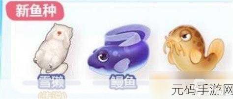 摩尔庄园手游新揭秘,鳗鱼多重奇妙用途,引领庄园生活新风尚
