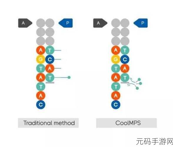 探索 ASP 探针的操作系统兼容性之谜