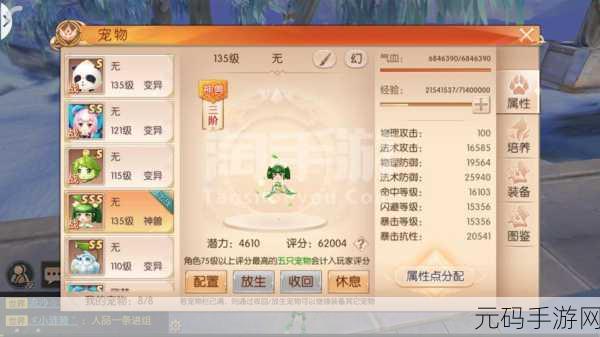 九州天空城3D天华辅助装备选择深度剖析