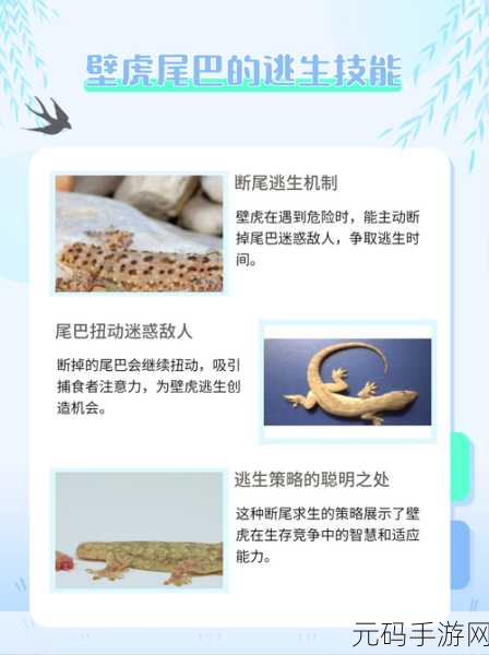 手游资讯,揭秘最强蜗牛壁虎尾巴获取之旅,开启奇妙挑战