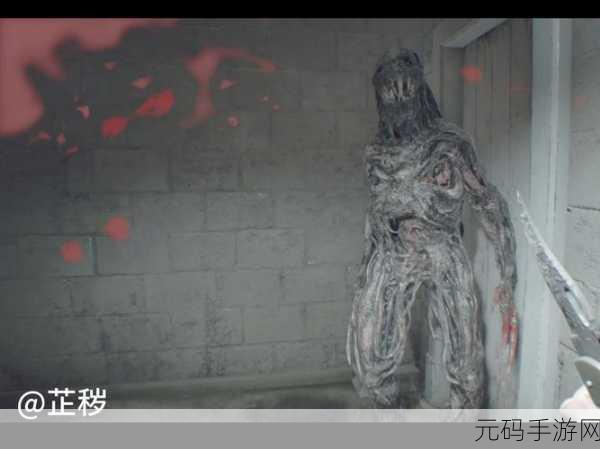 生化危机7致敬元素与隐藏细节深度剖析，揭秘资源管理背后的艺术