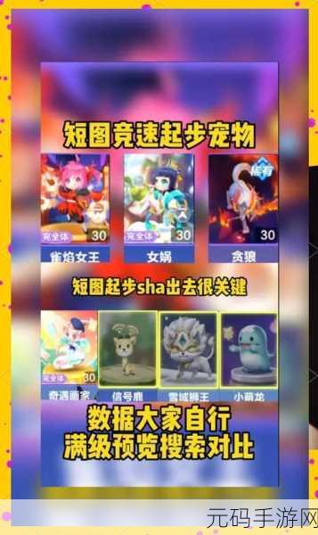 QQ飞车手游花漂,竞速之上的艺术盛宴深度解析