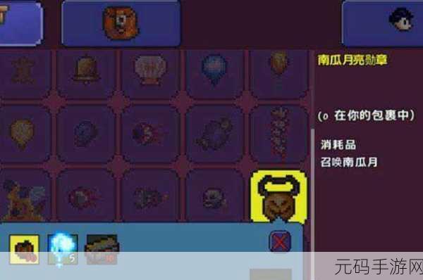 泰拉瑞亚南瓜套装深度解析,获取全攻略及详细属性揭秘
