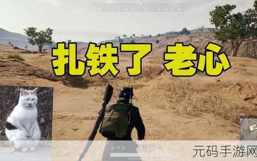 绝地求生,遭遇卡栏危机,玩家自救全攻略