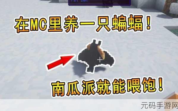 我的世界南瓜派之谜，放大图解密，探索像素世界的秘密厨房手游资讯