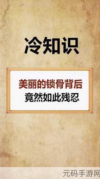 疯狂梗传美容院传闻揭秘，探寻美丽背后的故事