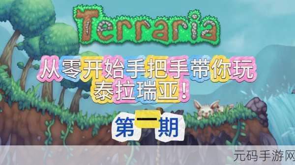 泰拉瑞亚旗帜飘扬,冒险征途中的得力伙伴与全新版本揭秘