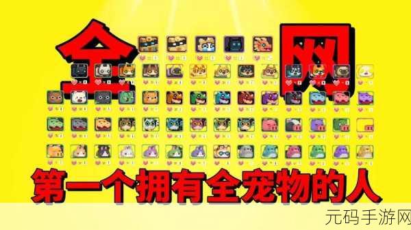 元气骑士新宠物爆料,黑猪萌动你的游戏世界,带来全新冒险体验!