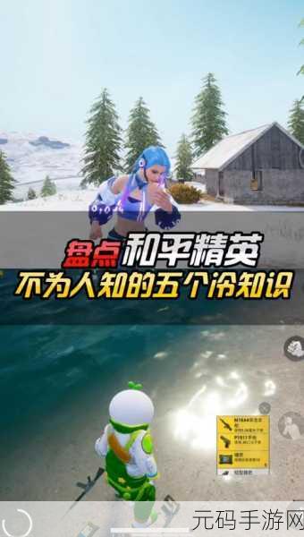 和平精英巅峰精英,荣耀之路的璀璨明珠非凡之旅深度解析