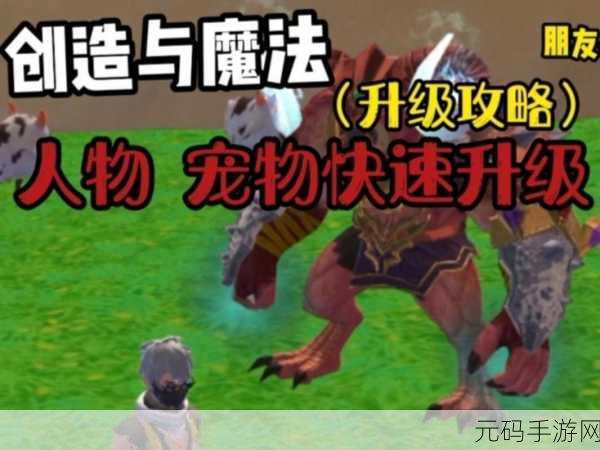 创造与魔法宠物极速升级攻略详解