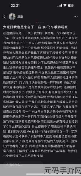 QQ飞车手游改名大揭秘,如何巧妙避免改错名