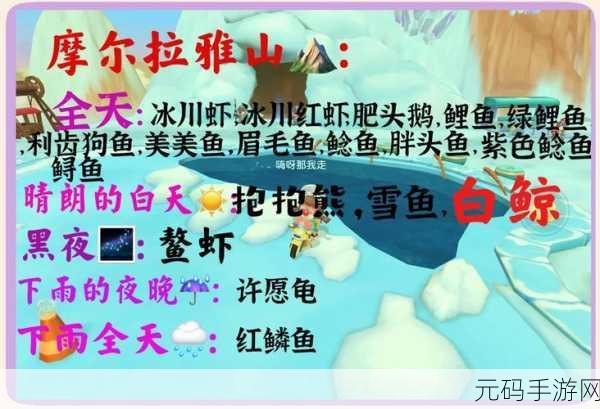 摩尔庄园手游资讯,揭秘鱿鱼垂钓位置与技巧