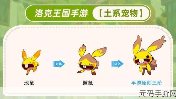 手游资讯，洛克王国农场新宠登场，揭秘化肥的秘密与魅力