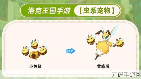 手游资讯,洛克王国农场新宠登场,揭秘化肥的秘密与魅力