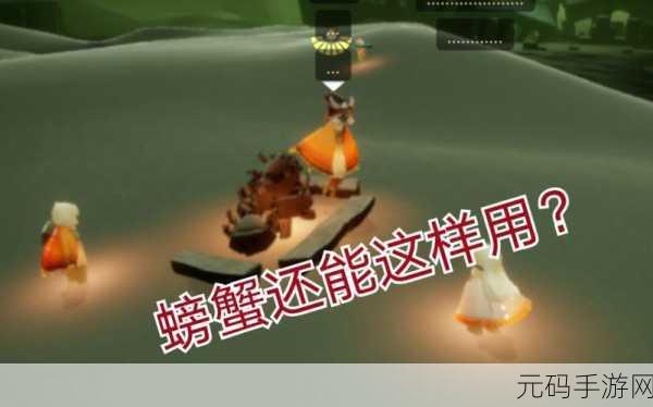 Sky光遇,揭秘让螃蟹站起来并成功捕捉的最新技巧