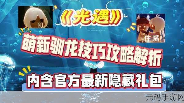 手游资讯,光遇新版本驭风舞动,探索训龙动作的奇幻之旅