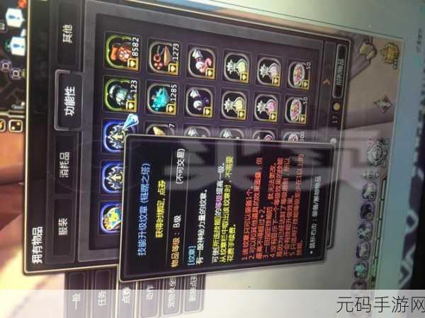 龙之谷国服药剂师加点攻略，从新手到大师的蜕变之路