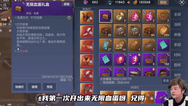 妄想山海有限血蛋揭秘,珍稀宠物孵化新篇章