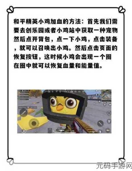 和平精英小鸡宠物解锁与培养全攻略