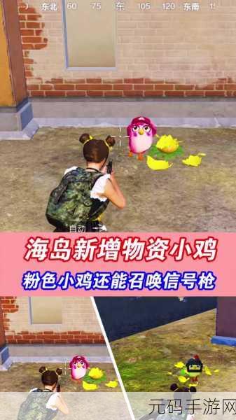 和平精英小鸡宠物解锁与培养全攻略