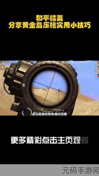和平精英高手秘籍,解锁4倍镜压枪的神秘武器全面揭秘