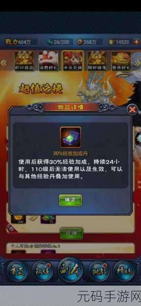 新大主宰手游资讯,经验灯道具详解及其在游戏中的重要作用