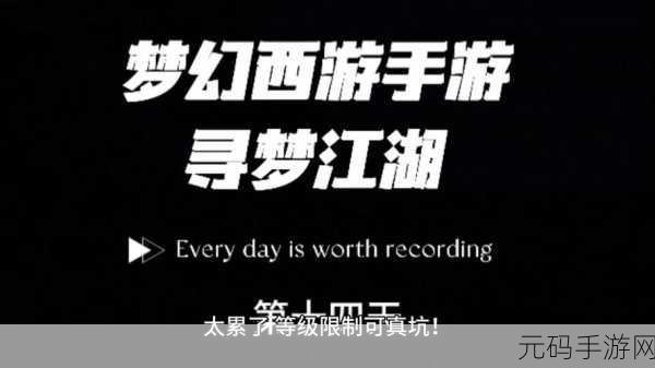 梦幻西游手游金石之域第十四关全面攻略，通关秘籍与技巧深度大揭秘