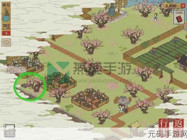手游资讯,江南百景图桃花坞山洞宝箱之谜深度揭秘