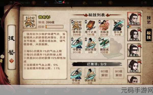 烟雨江湖铁布衫升至300级全攻略，资源管理技巧与策略深度解析