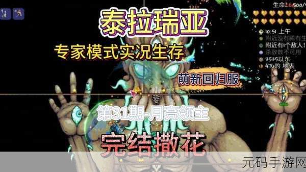 泰拉瑞亚手游资讯，揭秘太阳花采集秘诀，助你探险更顺畅