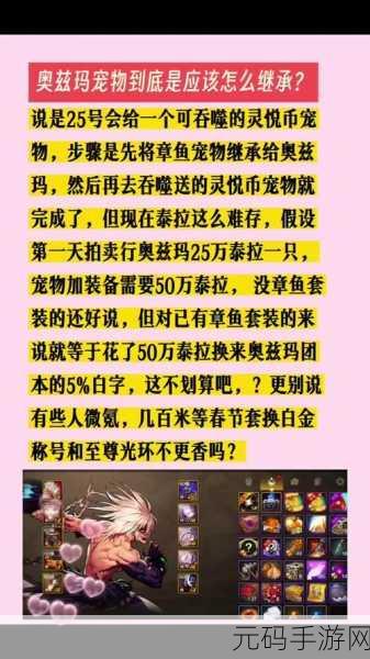 DNF柔道宠物宝珠,勇者的力量之源手游新版本深度解析