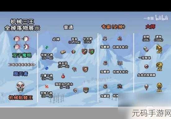 泰拉瑞亚大师模式新三王掉落揭秘，宝藏、荣耀与勇者的试炼
